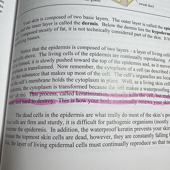 Exploring Creation with General Science 2nd Edition : Student Text by‎ Jay L.... - Picture 13 of 16